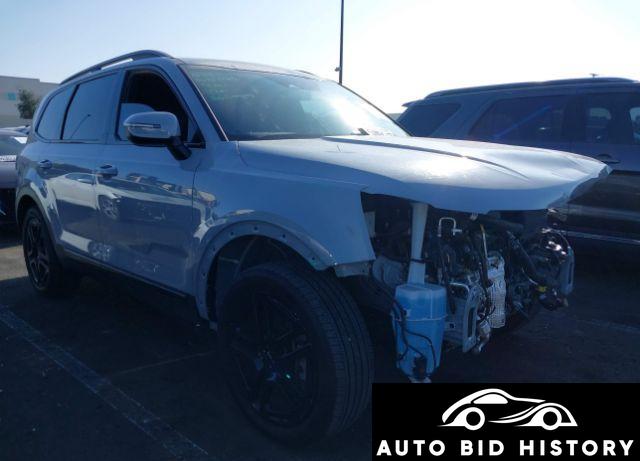 Kia Telluride Ex X-Line 2024 Gray 3.8L