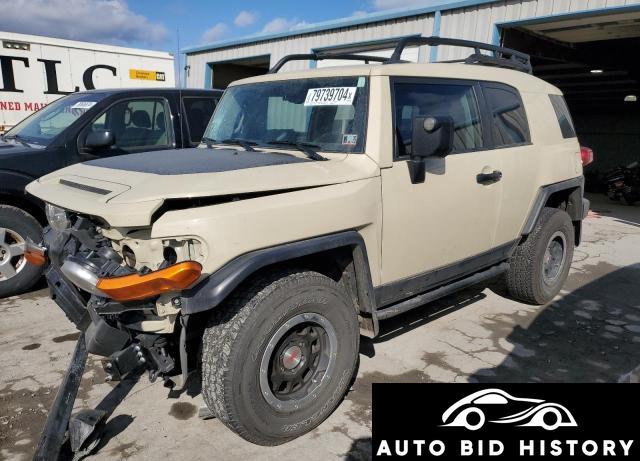 Toyota Fj Cruiser 2010 Beige 4.0L  6